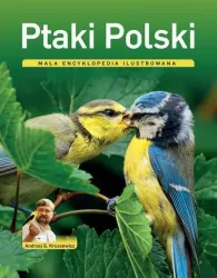 Ptaki Polski. Mała encyklopedia ilustrowana