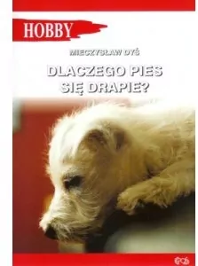 Dlaczego pies się drapie? - tantis.pl