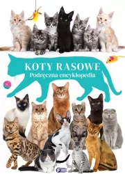 Koty rasowe. Podręczna encyklopedia