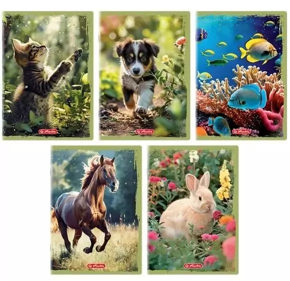 Zeszyt A5/32K linia z marginesem Animals - tantis.pl