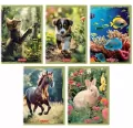 Zeszyt A5/32K linia z marginesem Animals - tantis.pl