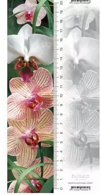 Zakładka 3D. Orchidea - tantis.pl