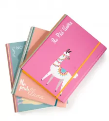 TECZKA Z GUMKA A4 SKRZYD PROBLAMA VPE 310/961/24