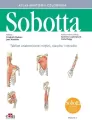 Tablice anatomiczne mięśni, stawów i nerwów. Łacińskie mianownictwo Atlas anatomii człowieka Sobotta. Wydanie 3 - tantis.pl