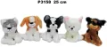 Pies z głosem 25cm MIX - tantis.pl