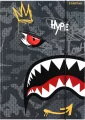 Teczka z gumką. Shark - tantis.pl
