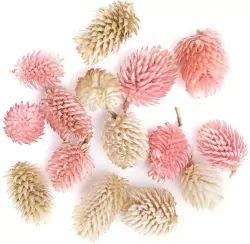 Suszone owoce dekoracyjne mix 14 szt.