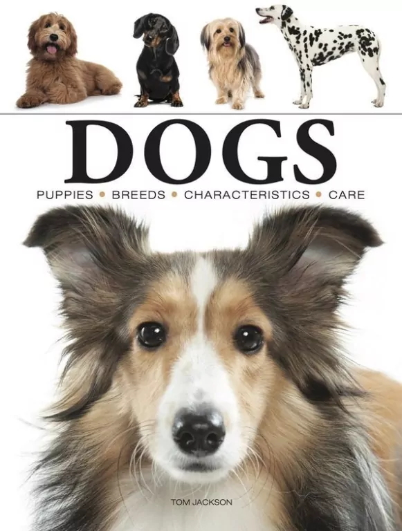 Dogs wer. angielska - tantis.pl