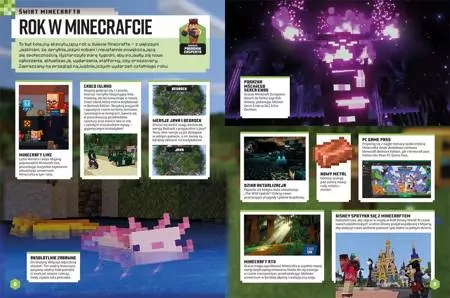 Minecraft. Rocznik 2023 - tantis.pl
