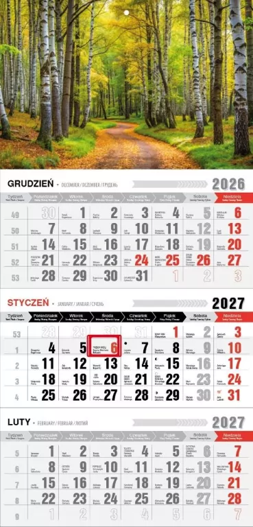 Kalendarz 2027 trójdzielny z magnesem las - tantis.pl
