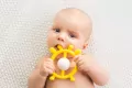 Grzechotka gryzak Jeleń - tantis.pl