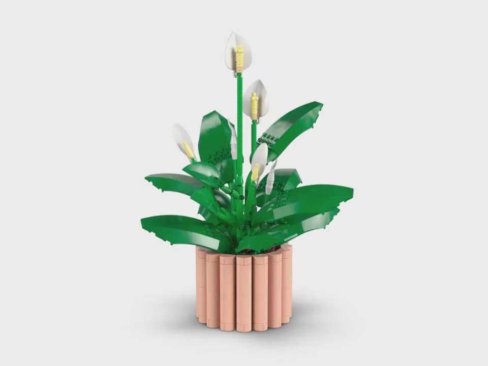 LEGO®. Botanical Collection. Skrzydłokwiat. 11504 - tantis.pl
