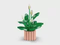 LEGO®. Botanical Collection. Skrzydłokwiat. 11504 - tantis.pl