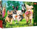 Puzzle 1000. Nadchodzą kłopoty. 10800 - tantis.pl