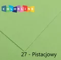 Karton ozdobny 50x65cm pistacjowy - tantis.pl