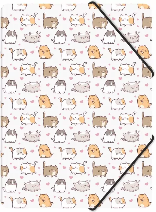 Teczka z gumką A4 pp z nadrukiem kittens - tantis.pl
