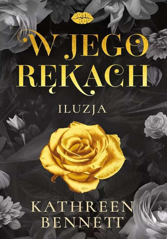 W jego rękach. Iluzja - tantis.pl