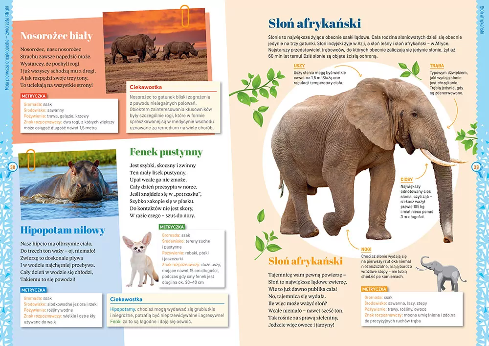 Moja pierwsza encyklopedia. Zwierzęta - tantis.pl