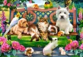 Puzzle 1000. Pets in the Park - tantis.pl