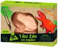 Dino - Wykopaliska. Ząb T-Rexa - tantis.pl