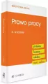 Prawo pracy. Pytania. Kazusy. Tablice. Testy - tantis.pl