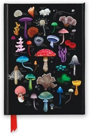 Notatnik A5 linia TW Grzyby Anna Stead - tantis.pl