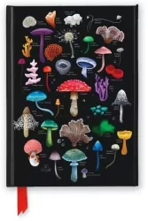 Notatnik A5 linia TW Grzyby Anna Stead