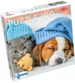 Puzzle 100 Cute Kitten and Sleepy Dog - tantis.pl