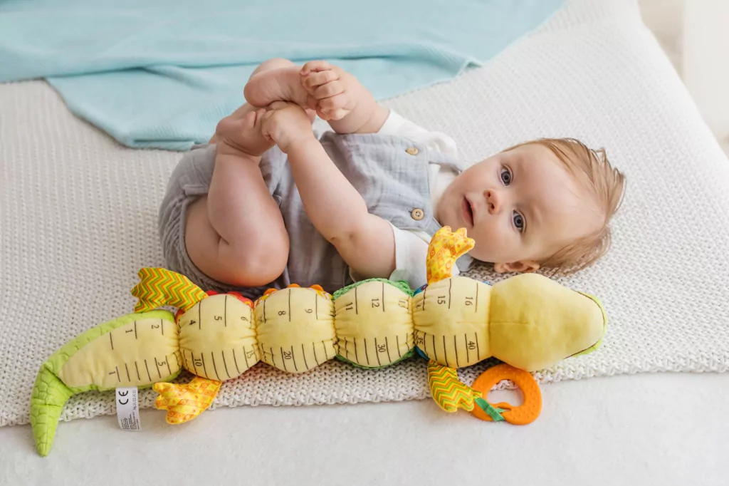 Krokodyl Oskar z miarką - tantis.pl