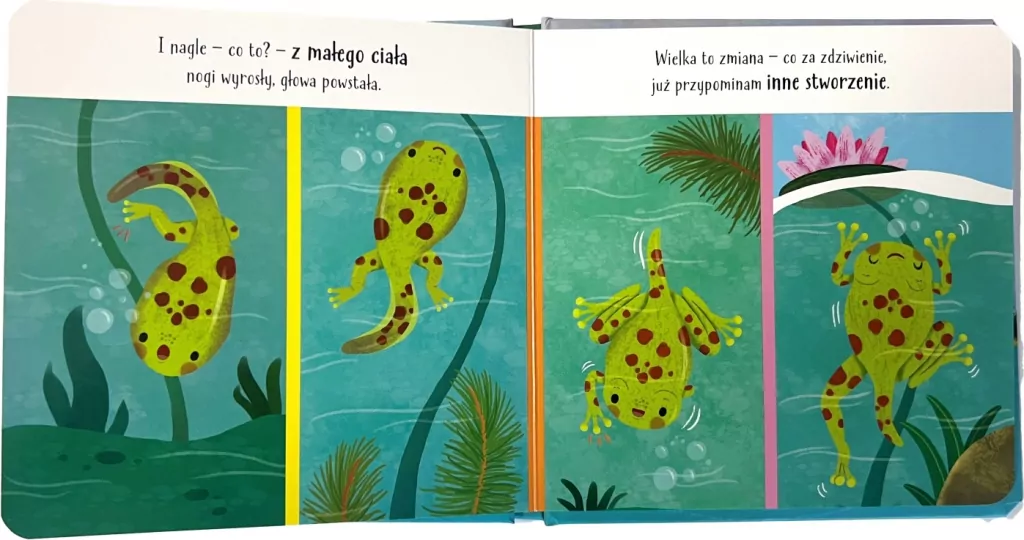 Żabka. Mój świat - tantis.pl