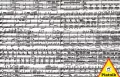 Puzzle 1000. Nuty - tantis.pl