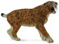 Smilodon XL - tantis.pl