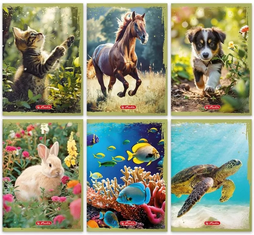 Zeszyt A5/32K linia Animals - tantis.pl