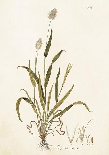 Karnet ST417 B6 + koperta Dmuszek jajowaty - tantis.pl