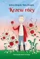 Krzew róży - tantis.pl