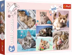 Puzzle 100. W kocim świecie