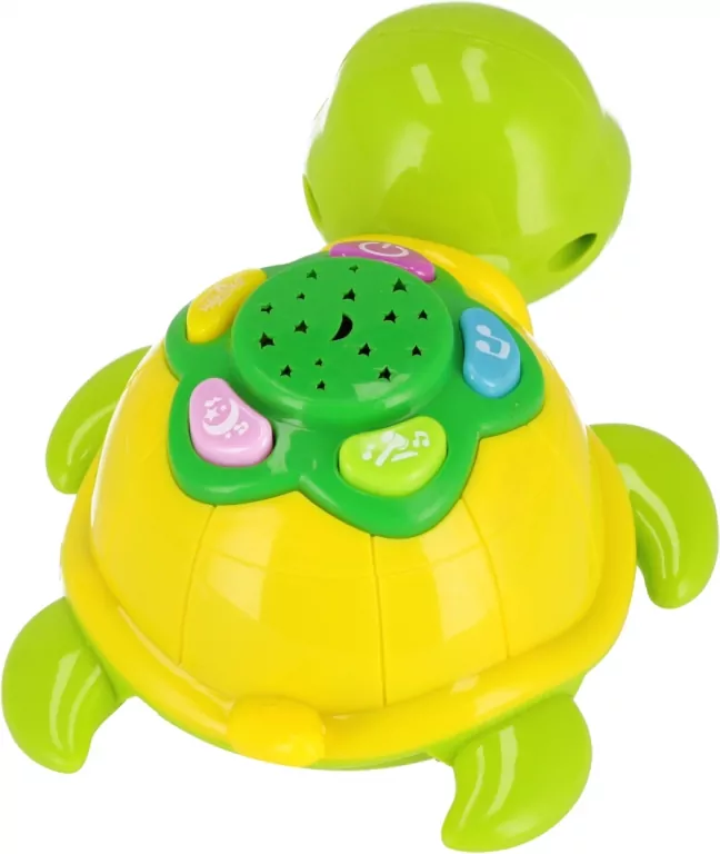 Zabawny żółw. Bam Bam - tantis.pl