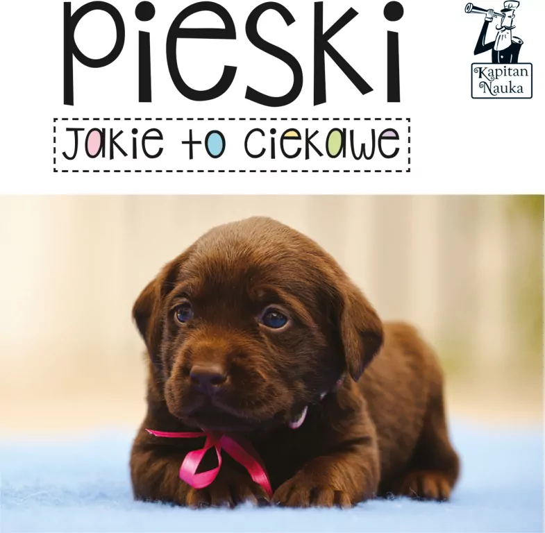 Pieski. Jakie to ciekawe. Kapitan Nauka - tantis.pl