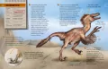 Dinozaury. Przewodnik młodego przyrodnika - tantis.pl