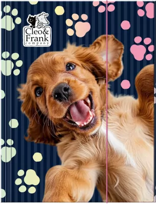 Teczka z gumką A4 Cleo i Frank 44 (pies) DERFORM