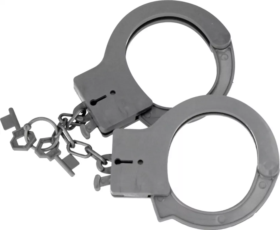 ZEST POLICYJNY 31X45X5 MC B/C 42/84 - tantis.pl