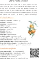 AGENDA 2026 Zaplanuj swój rok po hiszpańsku. Poziom średnio zaawansowany B1-B2 - tantis.pl
