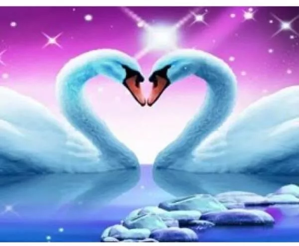 Malowanie po numerach Łabędzie serduszko w fiolecie - tantis.pl