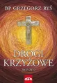 Drogi krzyżowe 2007-2012 - tantis.pl