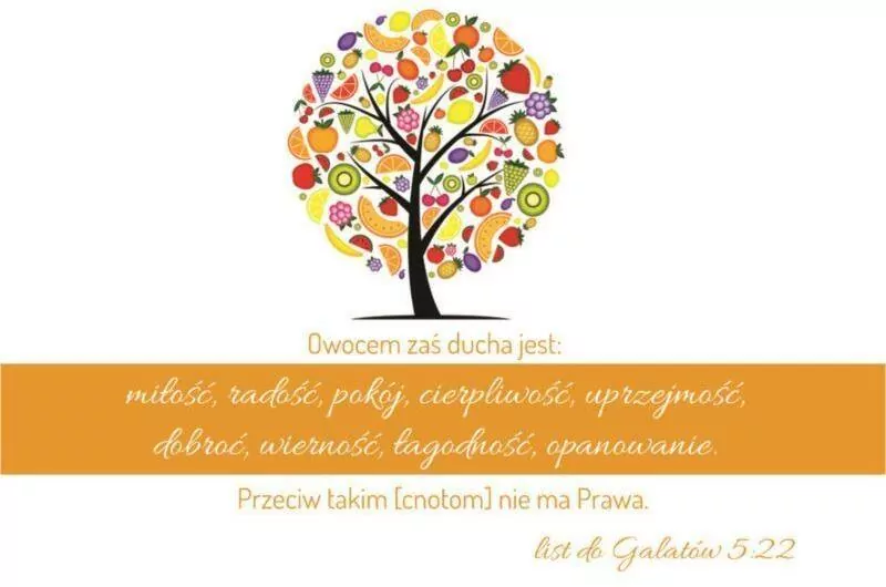 Magnes. Owocem zaś Ducha - tantis.pl