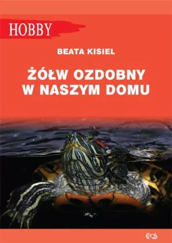 Żółw ozdobny w naszym domu - tantis.pl