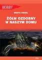 Żółw ozdobny w naszym domu - tantis.pl