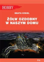 Żółw ozdobny w naszym domu