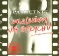Pamiętnik znaleziony na strychu - tantis.pl