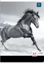 Zeszyt A5/96 kratka - tantis.pl